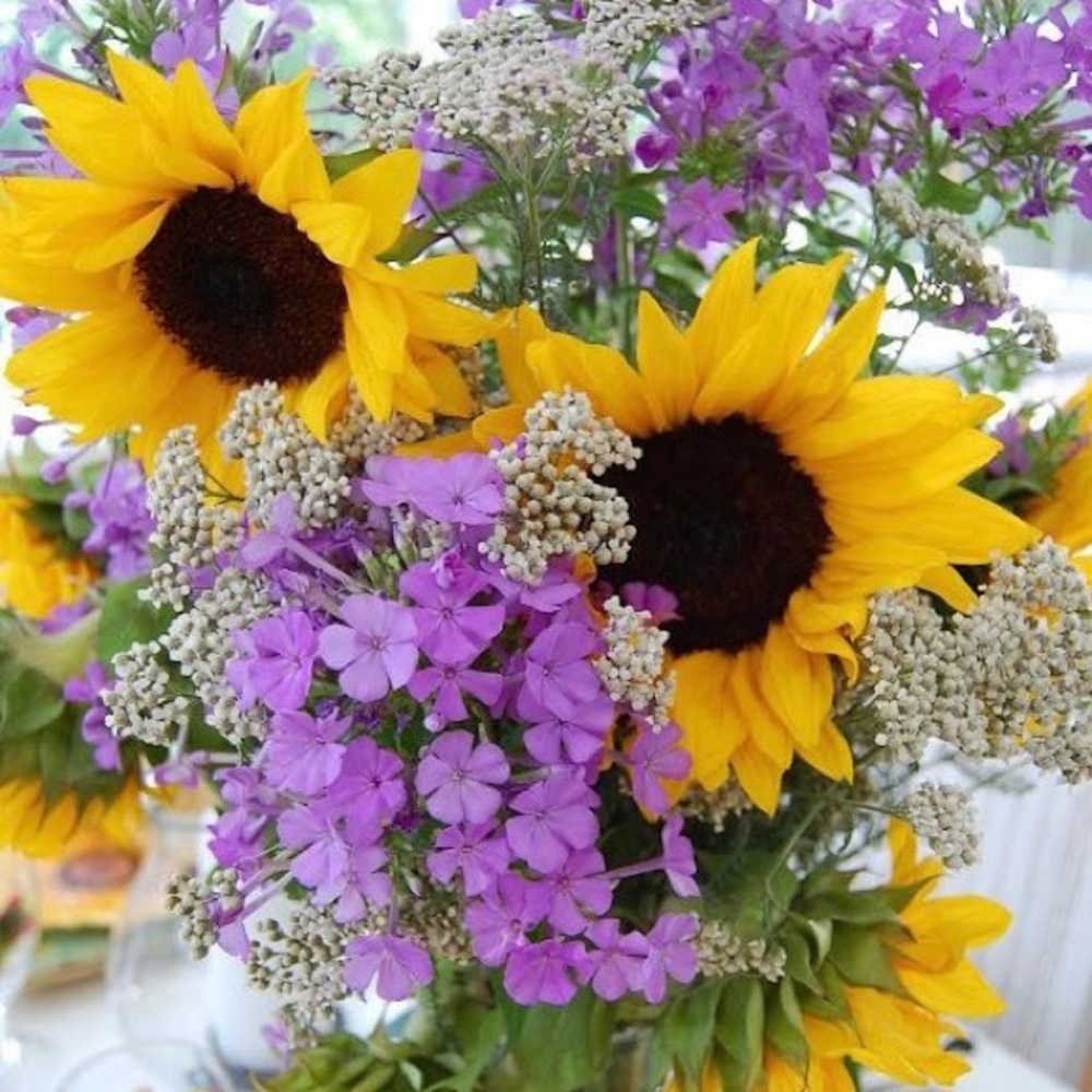 Meet your Posher, Ava